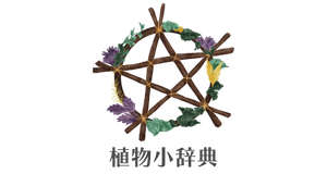 植物小辞典