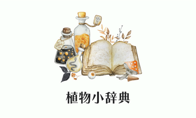 植物小辞典